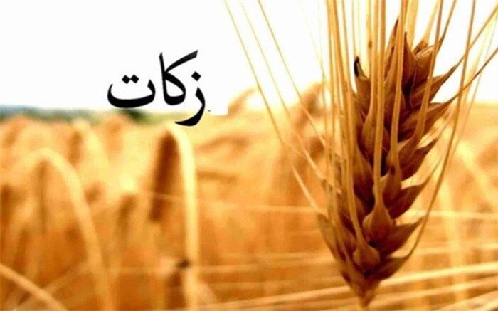 پرداخت 741 میلیون تومانی زکات توسط نیکوکاران اردکانی