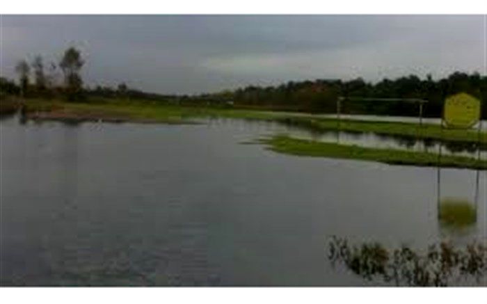 تالاب جوکندان از زیستگاه‌های مهم پرندگان مهاجر گیلان است