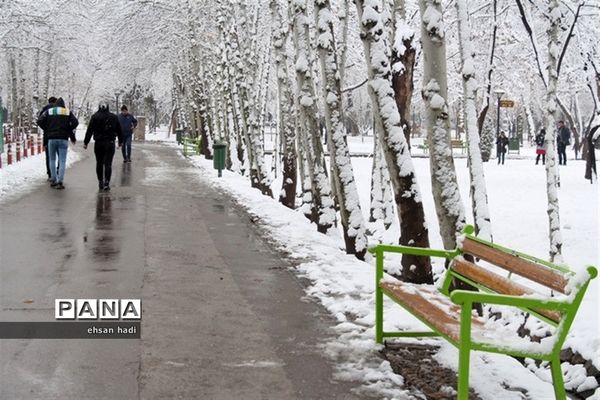 مشهد سفید پوش شد