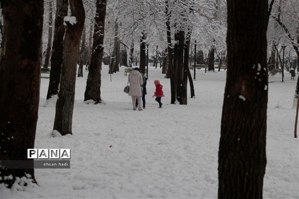 مشهد سفید پوش شد