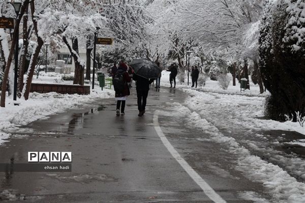 مشهد سفید پوش شد