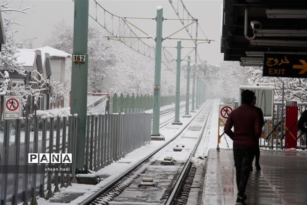 مشهد سفید پوش شد