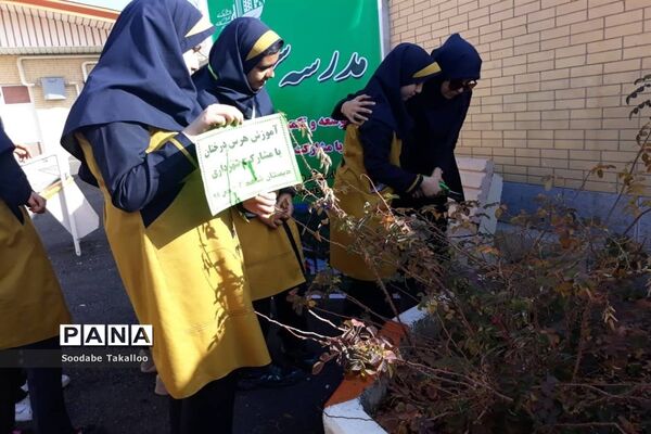 اجرای طرح مدرسه سبز در دبستان شاهد ٢ ملایر