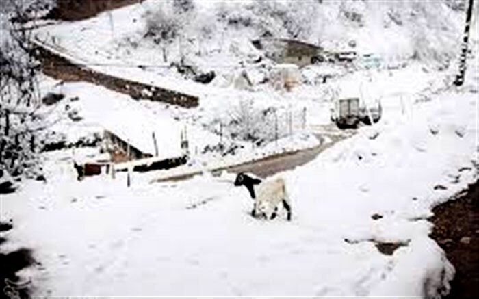 ۵۰ روستای بخش رحیم آباد - رودسر در محاصره برف