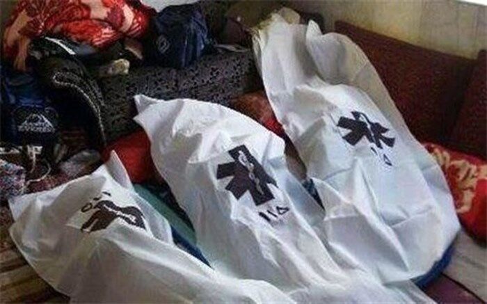 گازگرفتگی در کهگیلویه و بویراحمد جان ۳ نفر را گرفت