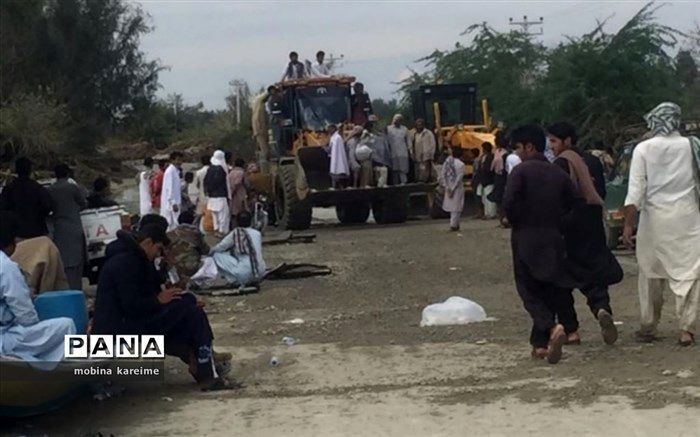 ارسال ۵۰ تن گوشت قرمز و هزار تن ذرت و جو به سیستان و بلوچستان