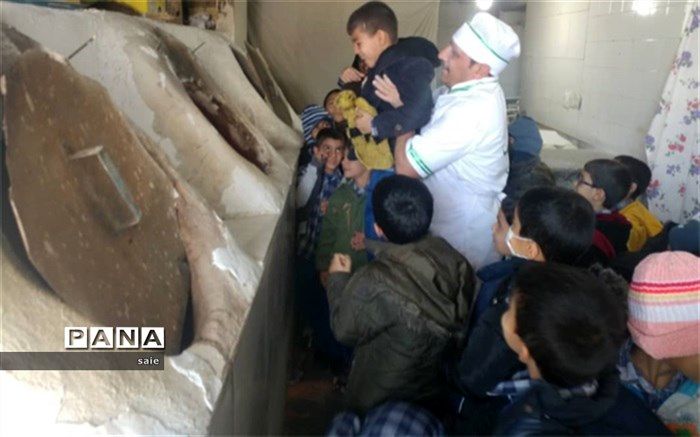 دانش آموزان  پایه اول دبستان قرآنی حضرت مهدی (عج)با مراحل پخت نان آشنا شدند