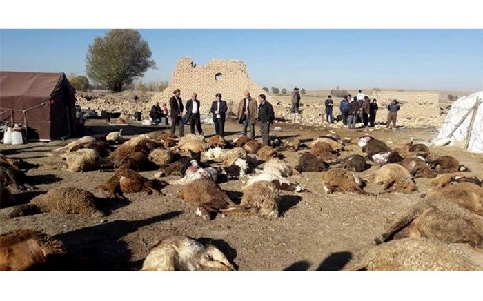 خسارت ۱۸۰ میلیارد تومانی زمین‌لرزه به بخش کشاورزی میانه و سراب