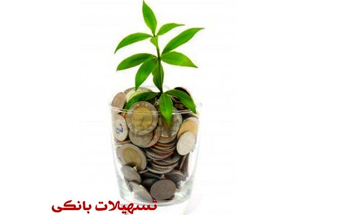 تخصیص  تسهیلات 18 درصدی به کسب و کار فرهنگی و هنری