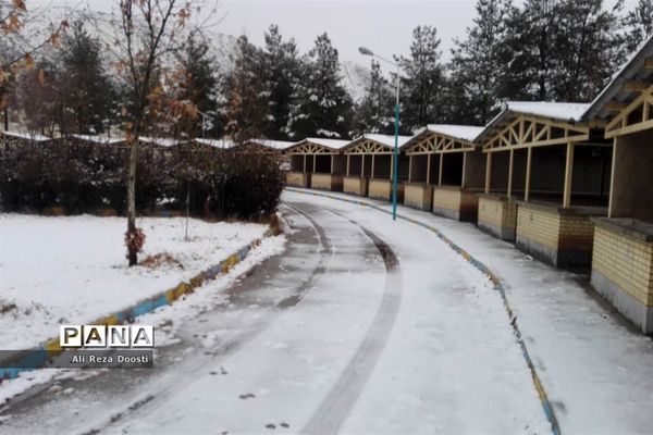 بارش نخستین برف زمستانی در شیراز