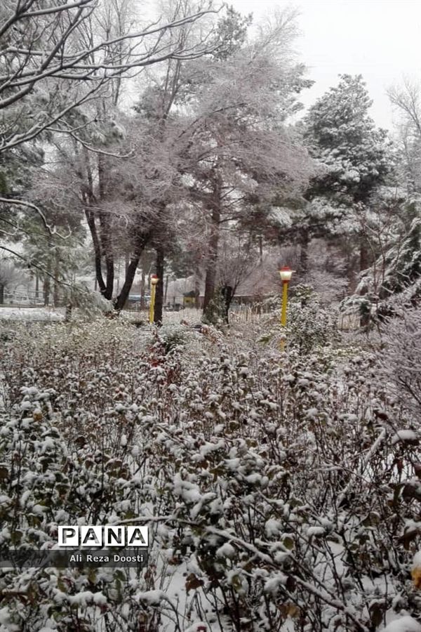 بارش نخستین برف زمستانی در شیراز