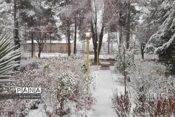 بارش نخستین برف زمستانی در شیراز
