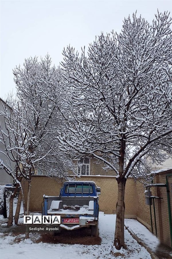 بازی کودکانه دانش‌آموزان منطقه ارژن در شادی بارش برف