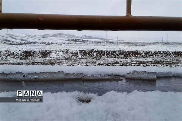 بارش برف در بیرجند