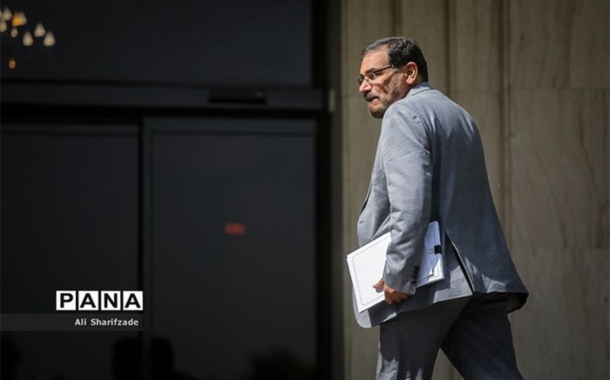 شمخانی: طولانی شدن اعلام دلیل سقوط هواپیما برای بررسی فرضیه‌های «هک سیستم‌ها» و «موضوع نفوذ» بود
