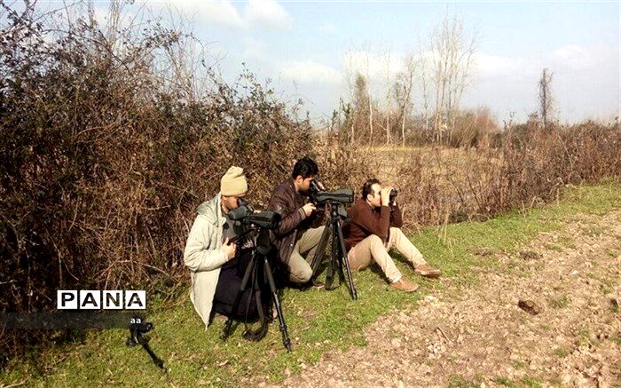 سرشماری پرندگان در پلدختر انجام شد