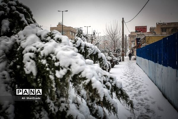 بارش برف زمستانی در تهران