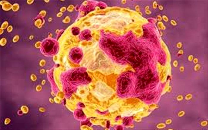 همایش پیشگیری از سرطان در نیشابور برگزار می شود