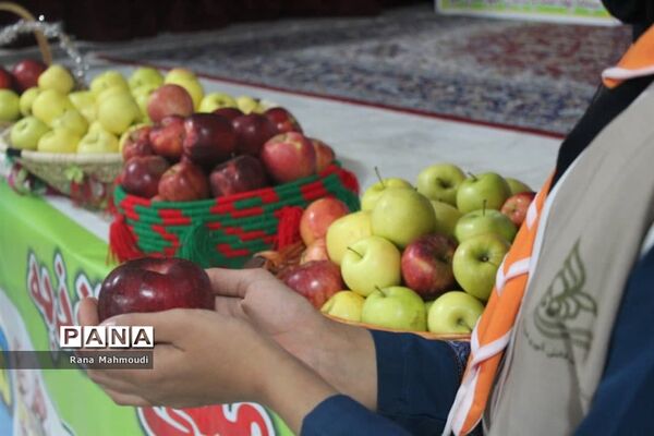 برگزاری همایش غذای سالم در گله دار