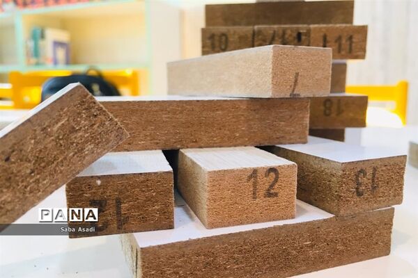 رقابت دانش‌آموزان گله‌دار درالمپیاد رویش