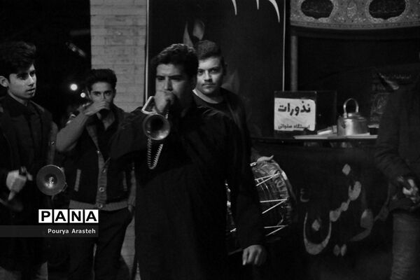 حضورگروه دمام در سطح شهر استان خراسان جنوبی