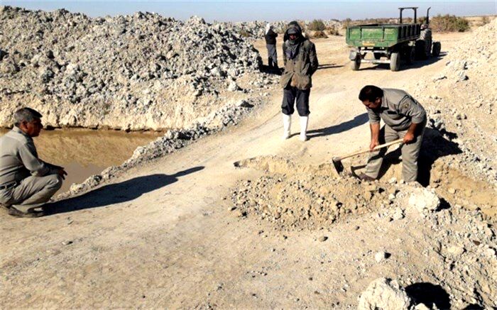 احیاء پوشش گیاهی تالاب هامون با هدایت آب به کانون های گرد و غبارسیستان