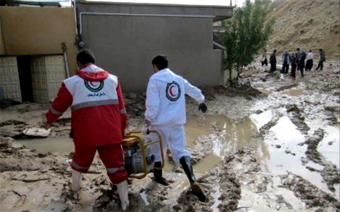 حافظه کوتاه ما، حافظه بلند زمین