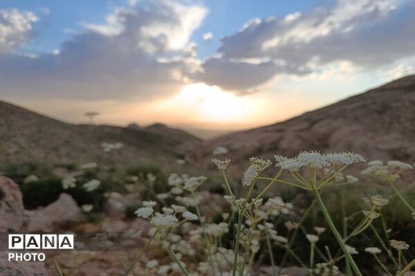 ارتفاعات شهر بار ذخیره‌گاه گیاهان دارویی کمیاب-۱