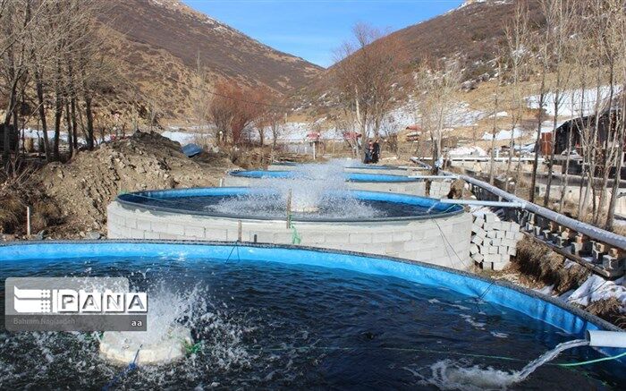 لرستان باید در مسیر تولید پایدار قرار گیرد