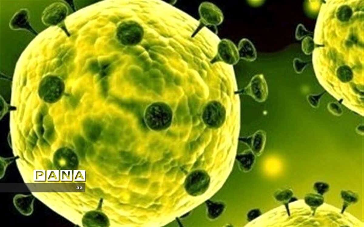 تکذیب شایعه ابتلای یک هرمزگانی به ویروس کرونا