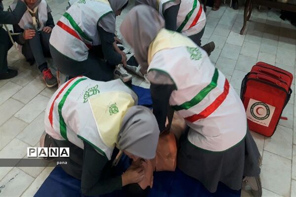 همایش یاوران انقلاب در سراب