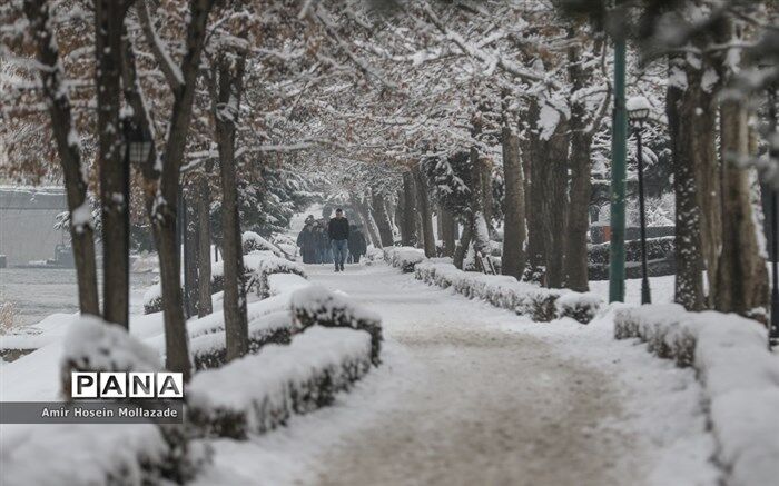 افزایش ۲۲ درصدی بارش در کشور طی امسال