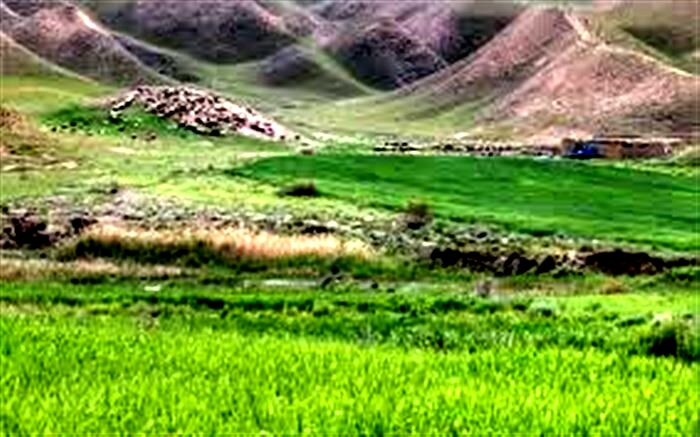 پروانه فعالیت مرتع‌داران کاشانی با هولوگرام ساماندهی می شود