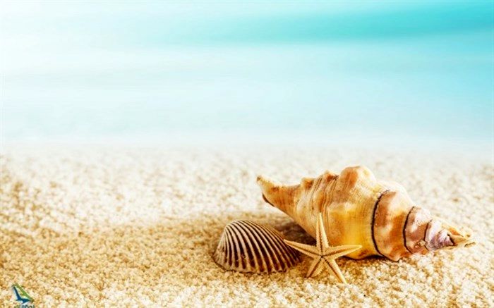 سفر به قشم، جایی که طلای سبز ایران در آن قرار دارد