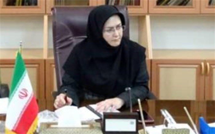 سرپرست معاونت هماهنگی امور‌اقتصادی استانداری: ایجاد ایستگاه‌های ثابت توزیع‌ کپسول گاز در استان