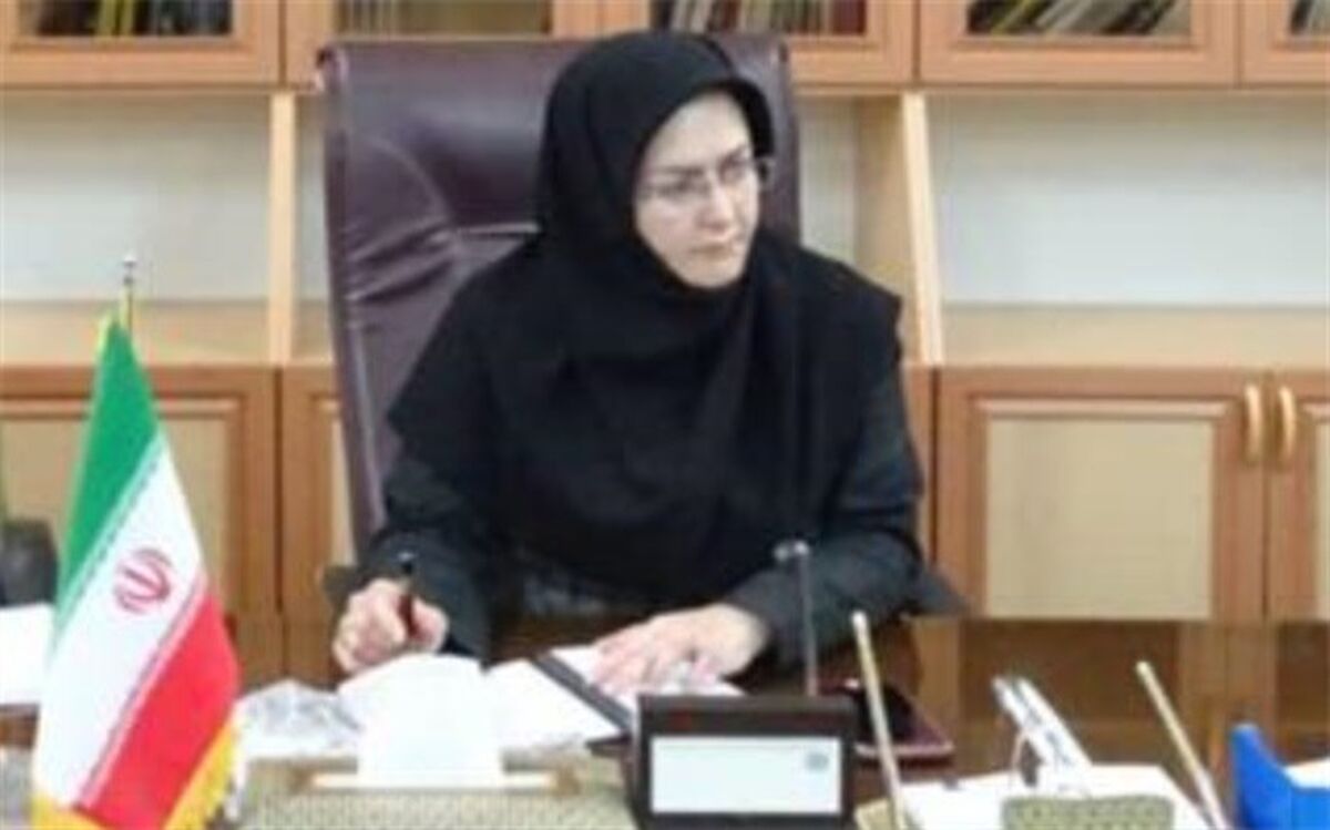 سرپرست معاونت هماهنگی امور‌اقتصادی استانداری: ایجاد ایستگاه‌های ثابت توزیع‌ کپسول گاز در استان