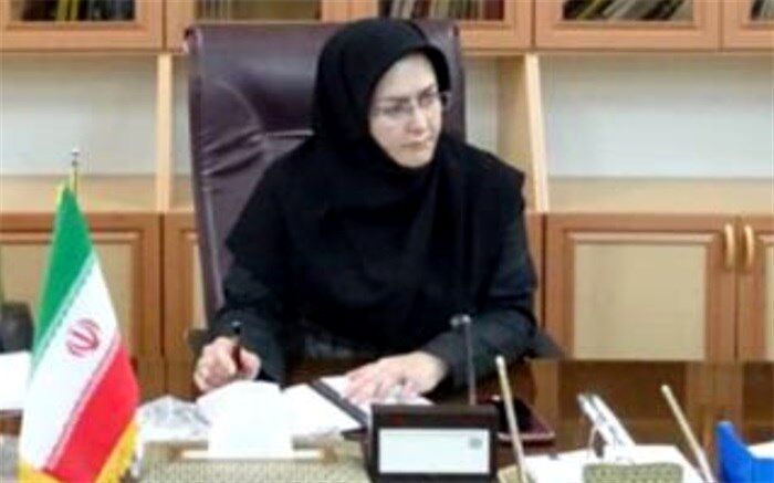 سرپرست معاونت هماهنگی امور‌اقتصادی استانداری: ایجاد ایستگاه‌های ثابت توزیع‌ کپسول گاز در استان