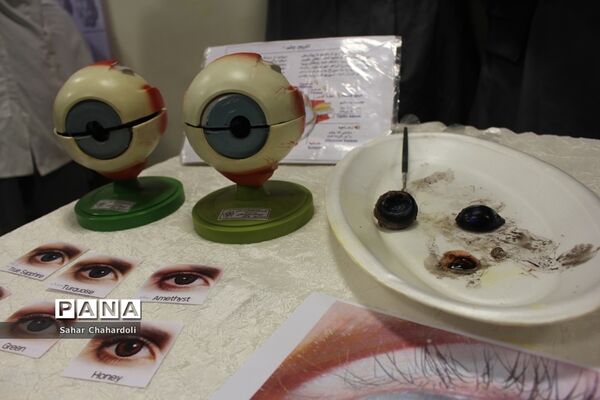برگزاری نمایشگاه مدرسه انقلاب در دبیرستان دخترانه علمی همدان