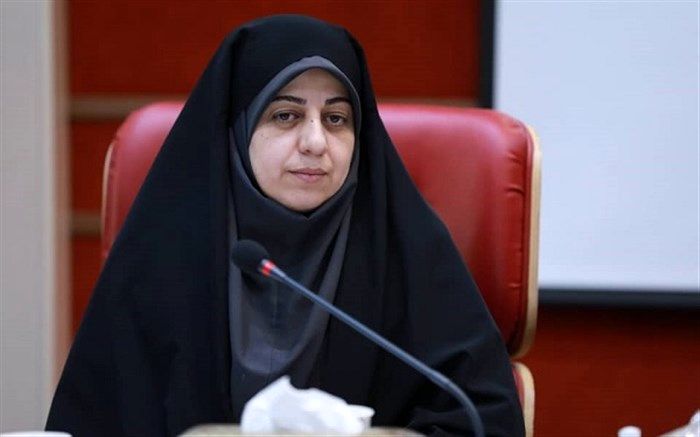 مدیرکل دفتر اجتماعی استانداری قزوین: تشکل های شاهد در مرتفع کردن آسیب های اجتماعی نقش آفرینی کنند