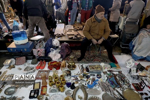 بازدید دو عضو شورای شهرتهران  ازجمعه بازار  پروانه