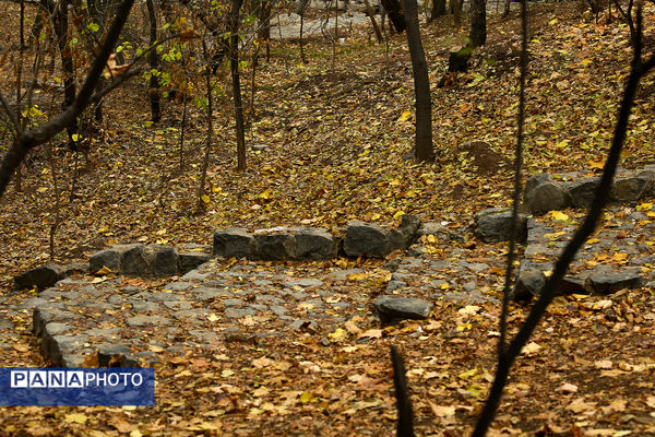 پاییز خیال انگیز در پارک جمشیدیه