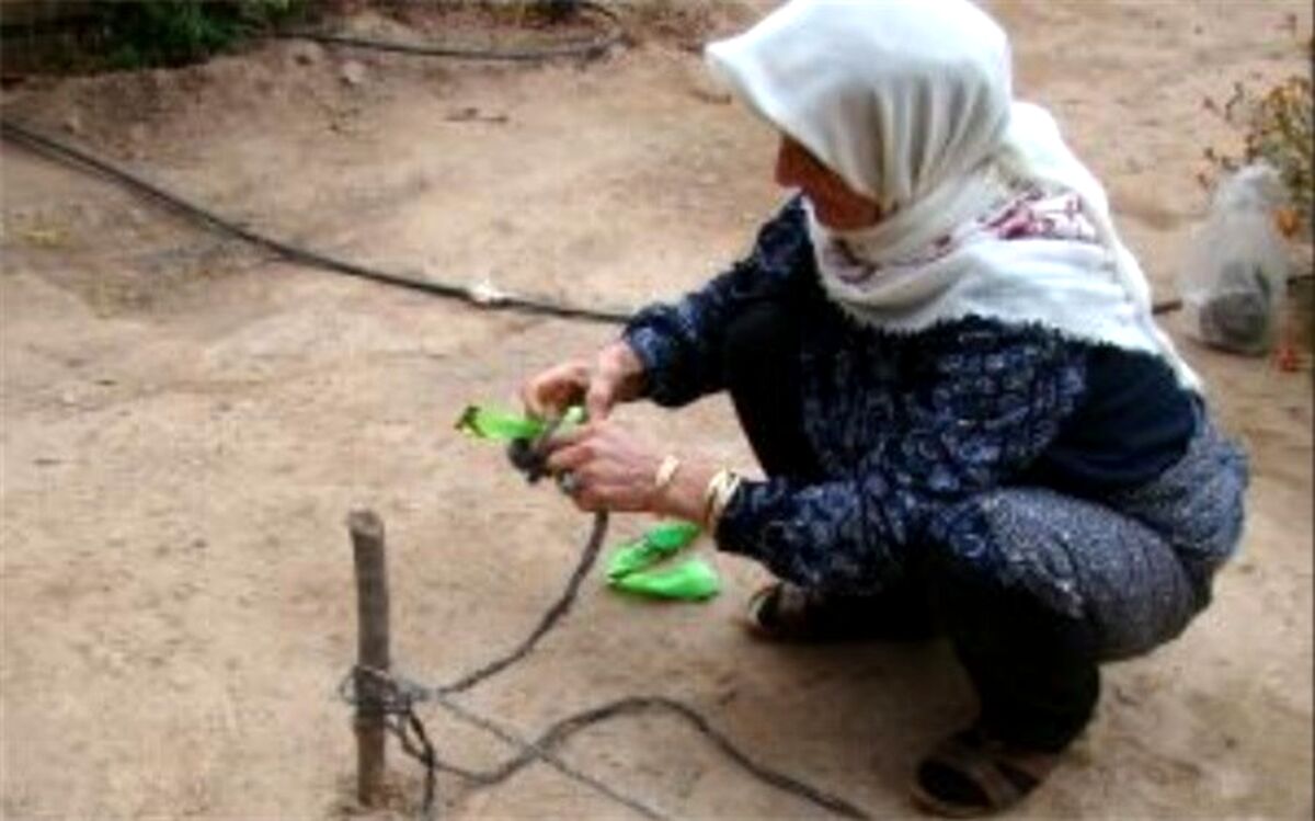 ثبت 3 اثر میراث فرهنگی ناملموس قزوین