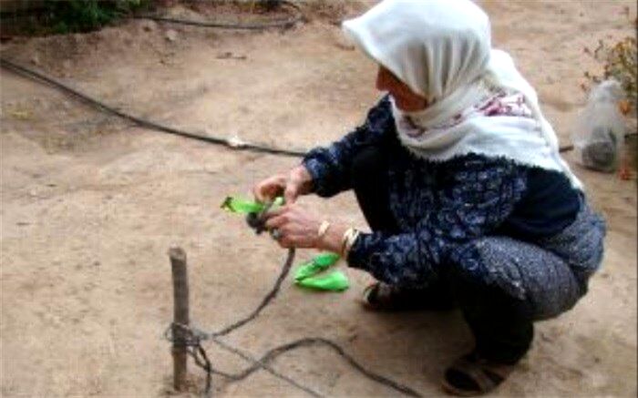 ثبت 3 اثر میراث فرهنگی ناملموس قزوین