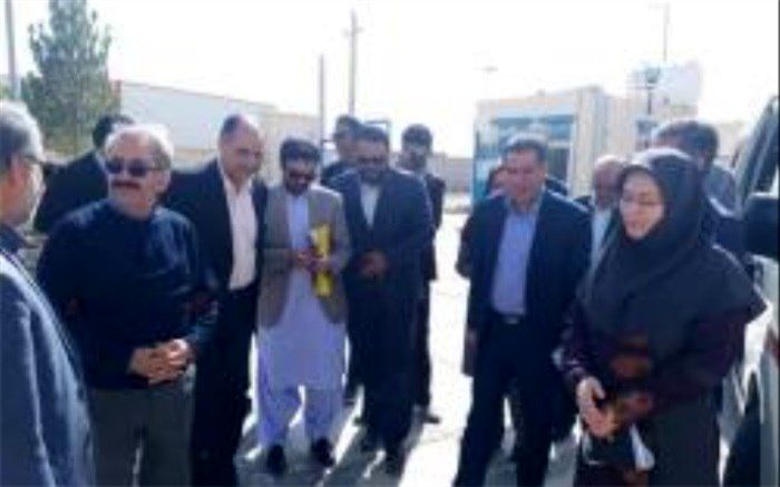 لزوم توجه بیشتر به ظرفیت های تولیدی شیر در استان