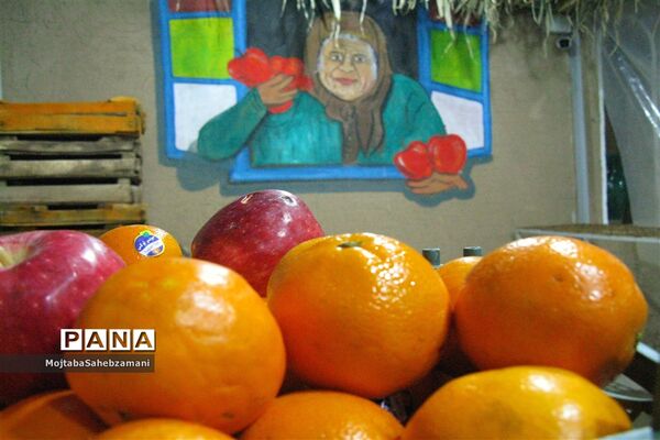 آثار دستی روستاهای برگزیده کاشمر در فروشگاه روستا