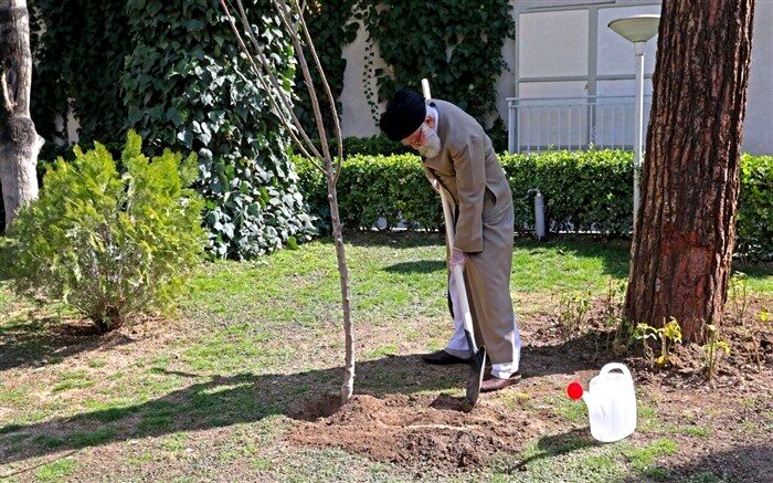 کاشت نهال توسط رهبر انقلاب همزمان با روز درختکاری