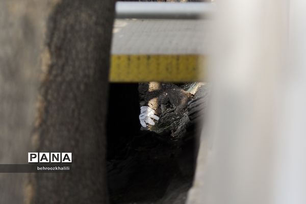 رهاسازی پسماندهای آلوده به کرونا در سطح شهر