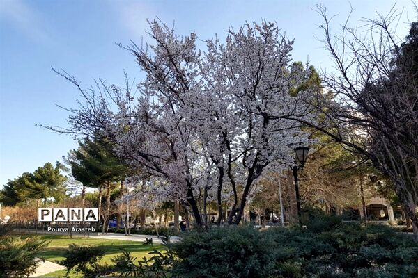 صدای پای بهار درشهرستان خوسف استان خراسان جنوبی