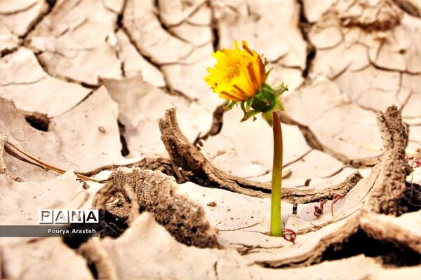 صدای پای بهار درشهرستان خوسف استان خراسان جنوبی