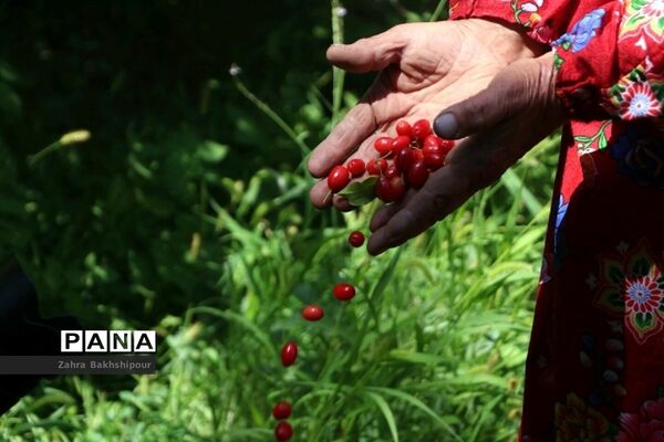 عکس‌های منتخب سال 1398 استان آذربایجان شرقی